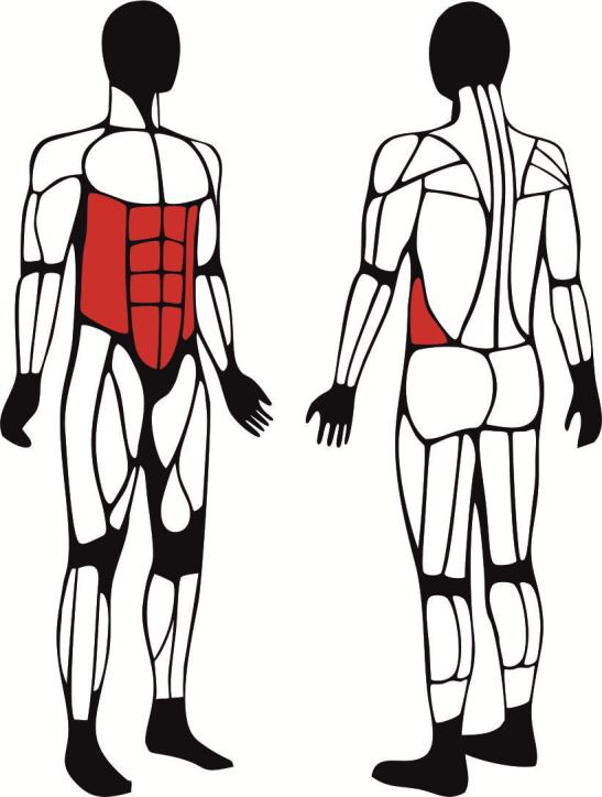Urządzenie do ćwiczenia mięśni brzucha - główne mięśnie zaangażowane podczas ćwiczeń