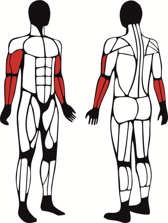 Modlitewnik - główne mięśnie zaangażowane podczas ćwiczeń